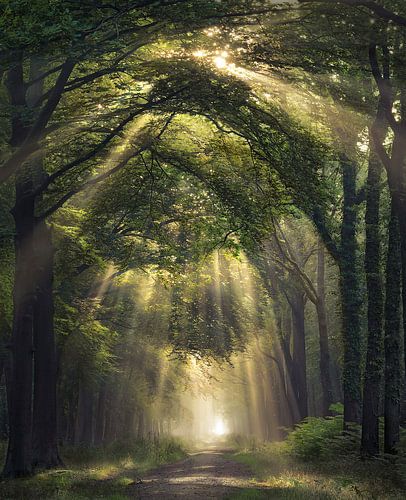 Overture sur Rob Visser