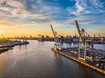 Containerterminal in de haven van Hamburg, Duitsland van Michael Abid