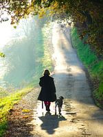 Promenade avec le chien