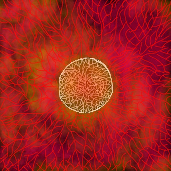 Soleil rouge, de près. par Neval's place