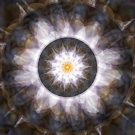 In Ruhe von christine b-b müller