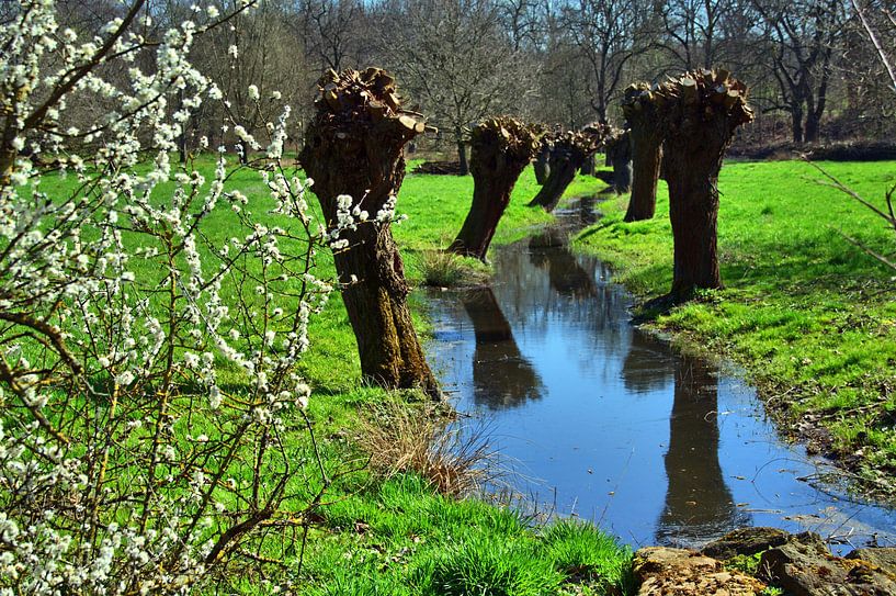 Lente in het reservaat van Edgar Schermaul