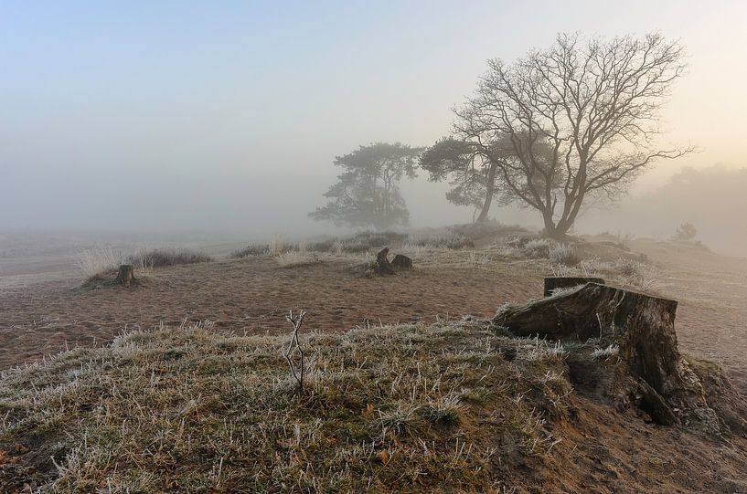 Dérive de sable dans la brume matinale sur la lande de Hoorneboeg près de Hilversum par Walter Frisart