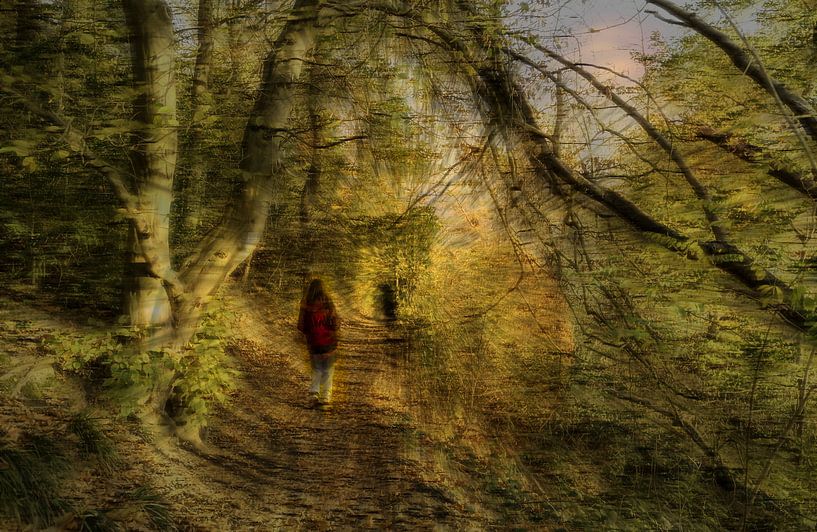 Vrouw in het bos van Dieter Walther