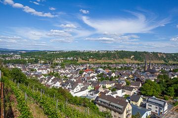 Güls district aan de Moezel, Koblenz, Rijnland-Palts, Duitsland, Europa