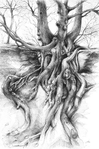 Root on the sandstone