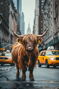 Ein schottischer Highlander durchquert New York