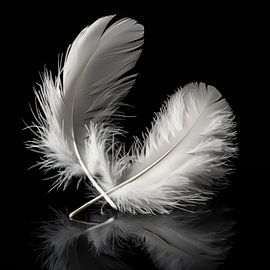 White feathers portrait by TheXclusive Art