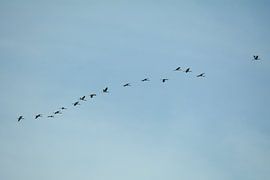 Bird's eye view over the Everglades in Florida by Minimalistic Travel Photography by.Rieneke