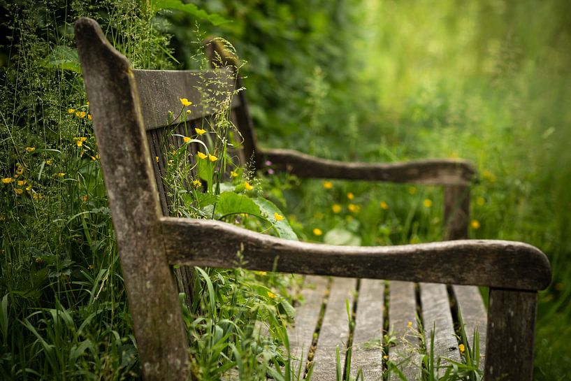 Miss by Mariette Kranenburg