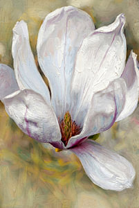 Magnolie. Gemälde.