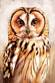 Portrait d'un hibou coloré sur Imperial Art House
