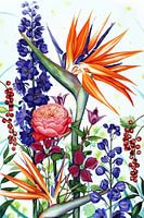 Strelitzia