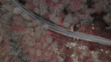 Drone beeld van een dof bos van Adrian Meixner