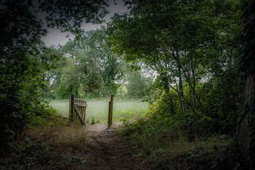 Fence on footpath by Freddy Hoevers
