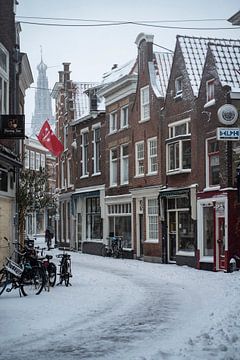 Der Winter ist endlich in Haarlem angekommen von Manuuu