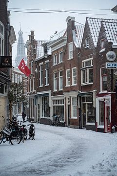 Winter has finally arrived in Haarlem by Manuuu