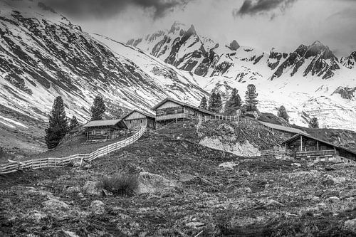 Knuttenalm in the Reintal valley, Rein in Taufers, South Tyrol
