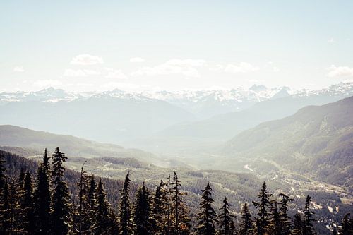 Whistler