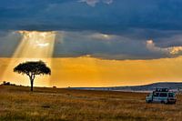 Natural wonder on the savannah