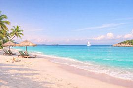 A beach paradise beneath the palm trees – Tropical Beach Escape by ButterflyPix