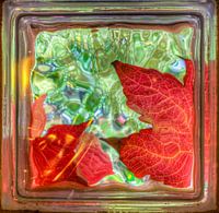 Golden autumn leaves through glass brick window