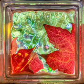 Golden autumn leaves through glass brick window van Sasha Samardzija
