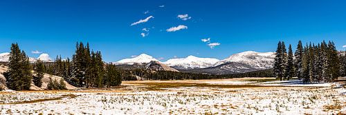 Panorama Tuolumne Meadows in snow at Tioga Pass Yosemite National Park California USA