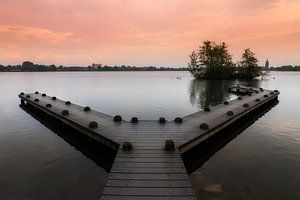 Steiger in de poel