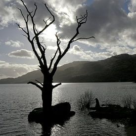Loch Lomond von Benno Neeleman