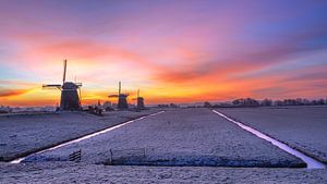 Sunrise windmills Stompwijk