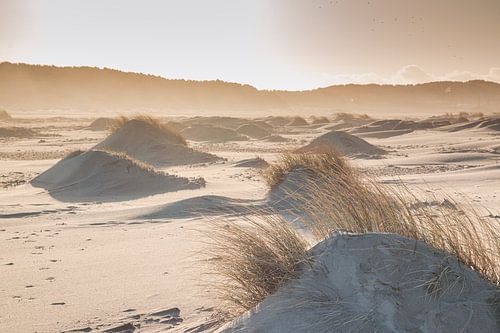 Zand en helmgras in beweging aan de kust
