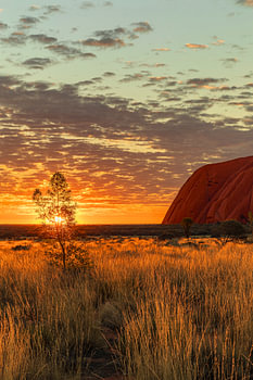 Zonsopgang bij Uluru
