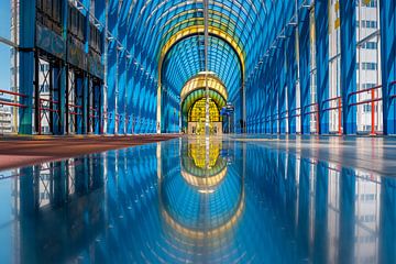 Nelson Mandela bridge in Zoetermeer is a bicycle and pedestrian bridge - Netherlands by Jolanda Aalbers