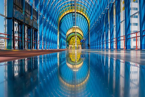 Nelson Mandelabrug in zoetermeer is een fiets- en voetgangersbrug - Nederland