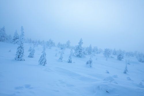 Fins Lapland