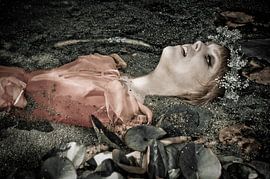 Ophelia 6, stefan witte