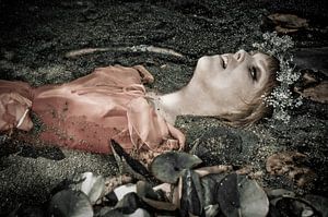 Ophelia 6, stefan witte van Stefan Witte