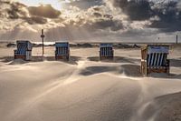 Weg met de wind