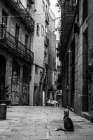 Romantische stadsgezicht in historische straat in Barcelona