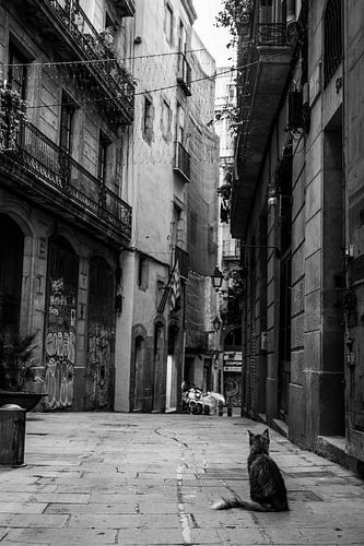 Romantic cityscape in historical street in Barcelona.