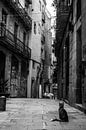 Romantische stadsgezicht in historische straat in Barcelona van Francisca Snel thumbnail