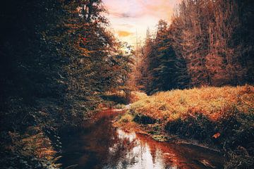 Kirnitzschtal tussen rotsen en zandstenen van Jakob Baranowski - Photography - Video - Photoshop