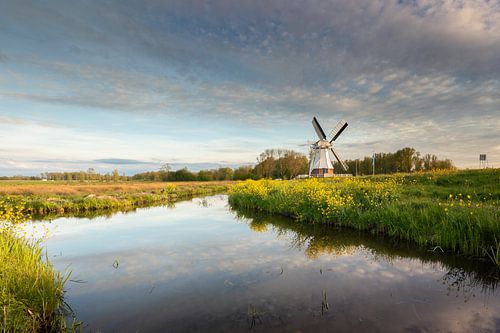 Dutch landscape mill by the water