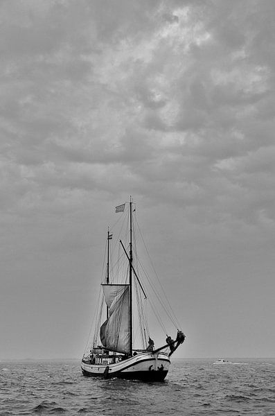 sail texel 2013 by jannette lap