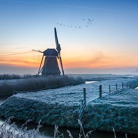 Dutch mill landscape von Edwart Visser