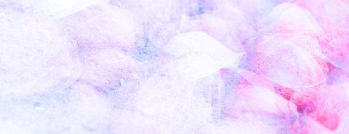 Lanterne violette