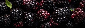 Fresh Blackberries by Studio XII