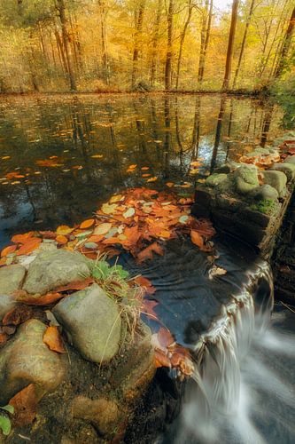 Watervalletje tijdens de herfst