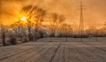 Golden Rays